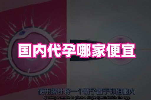 长沙助孕网站 1