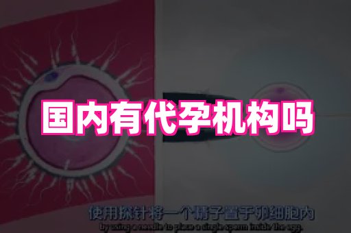 长沙助孕网站 2